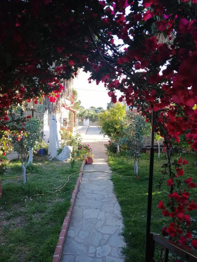Armonia Studios Agios Georgios  Zewnętrze zdjęcie